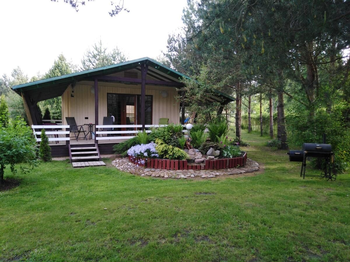 Лоджи Mustvee Creek Cottage Муствеэ