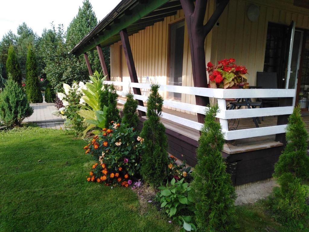 Лоджи Mustvee Creek Cottage Муствеэ